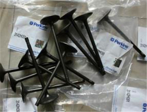 專業的美國山貓S160 770滑移裝載機珀金斯柴油機總成銷售維修保養原裝配件供應