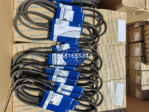 帕金斯400系列發(fā)動機(jī)交流發(fā)電機(jī)皮帶T80109109