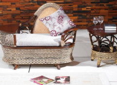 熱帶珍果紅毛丹 食用指南與營養(yǎng)美容價值